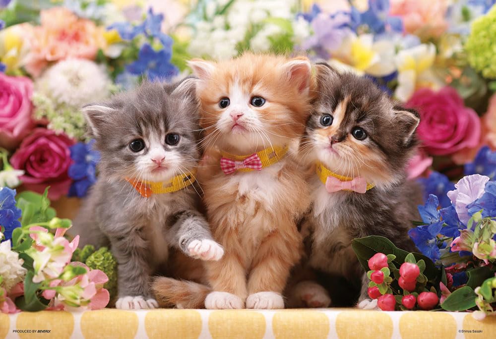 Amazon | 【日本製】ビバリー 300ピース ジグソーパズル 仔猫たちの花